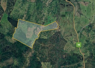 Buen campo ganadero forestal, de 600 hectáreas a 24 km de Rocha - Ref : EQP6674
