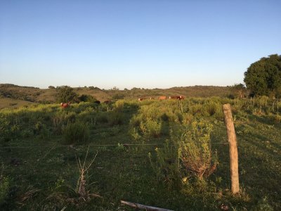 Lindo campo ganadero muy bien ubicado, muy pintoresco. - Ref : EQP6670