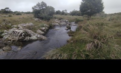 Campo en venta, Maldonado, en la zona del Cerro Catedral - Ref : EQP6310