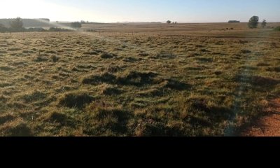 Campo en la zona de Jose Ignacio, Camino Sainz Martinez - Ref : EQP6671