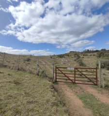 Chacra de 5 hectareas en Lavalleja ruta 81 - Ref : EQP6954