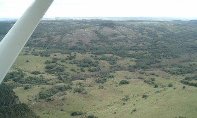 buen campo ganadero forestal, 600 hectareas - Ref : EQP6674