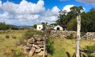 En venta muy buen campo ganadero y forestal - Ref : EQP3046