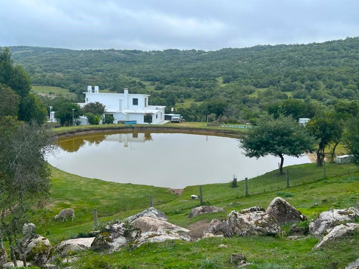 Campo en 