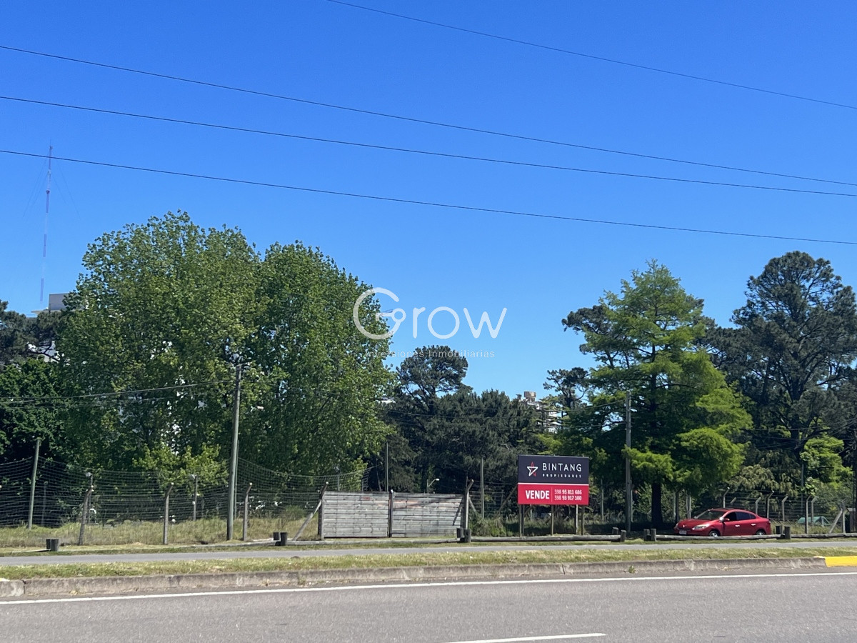 Cantegril - GoPunta - Portal Inmobiliario de Punta del Este - Maldonado