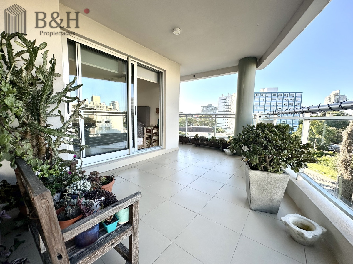 Aidy Grill - GoPunta - Portal Inmobiliario de Punta del Este - Maldonado