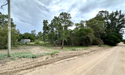 Terreno, 584m2, Punta del Este, La Barra, El Tesoro