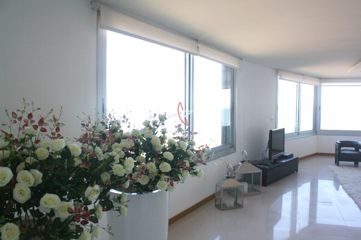 Brava - GoPunta - Portal Inmobiliario de Punta del Este - Maldonado