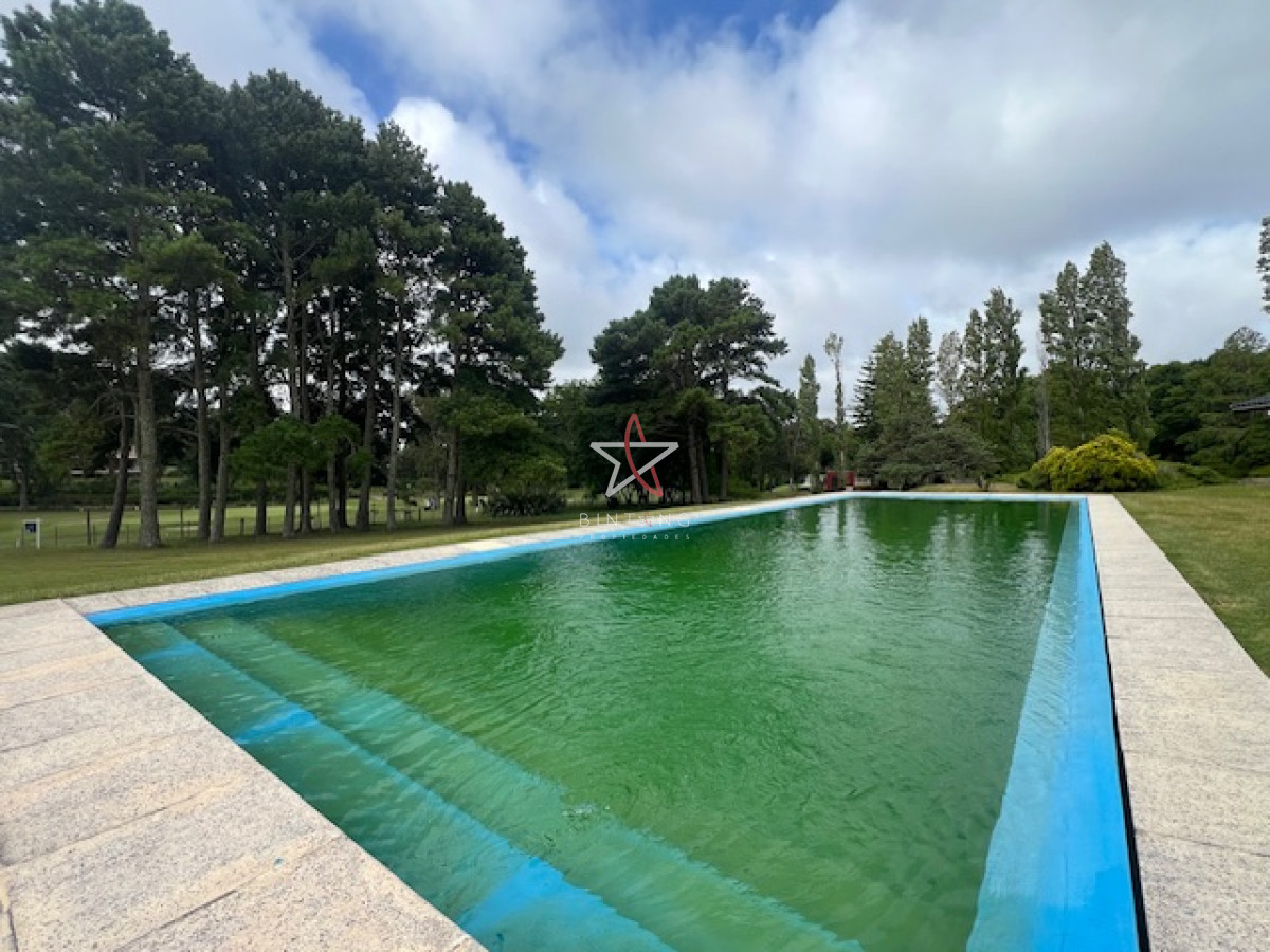 Punta del Este - GoPunta - Portal Inmobiliario de Punta del Este - Maldonado
