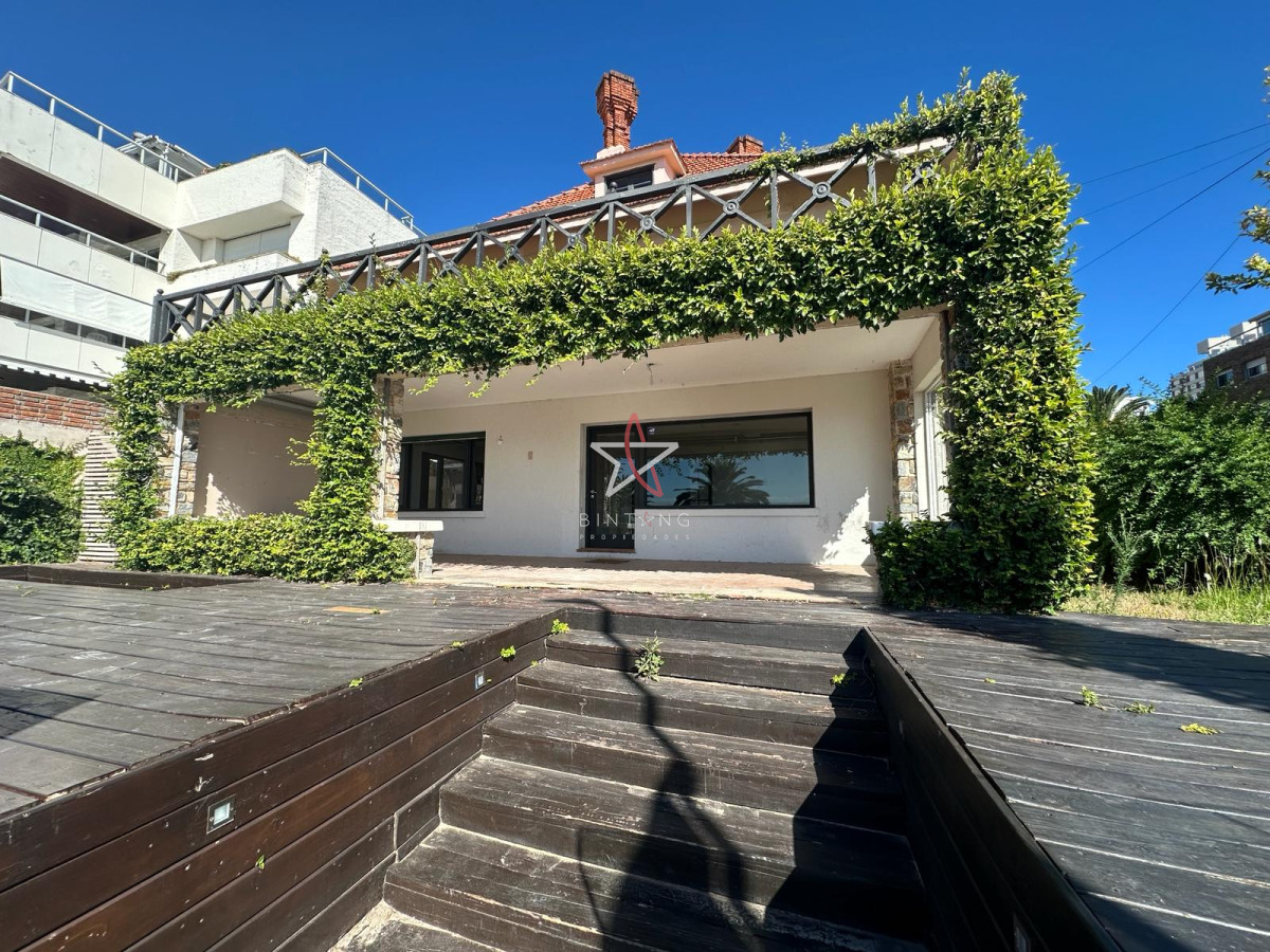 Puerto - GoPunta - Portal Inmobiliario de Punta del Este - Maldonado