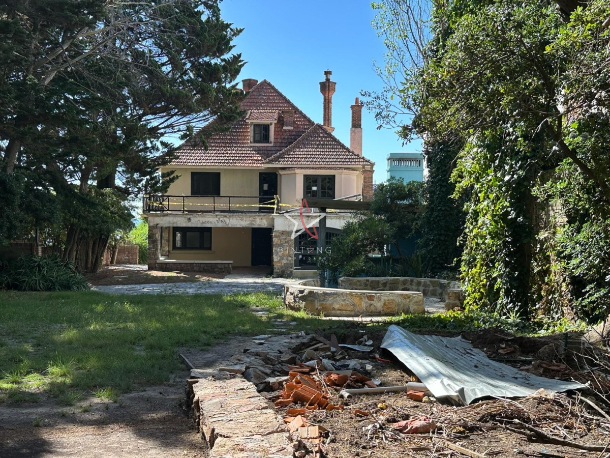 Puerto - GoPunta - Portal Inmobiliario de Punta del Este - Maldonado