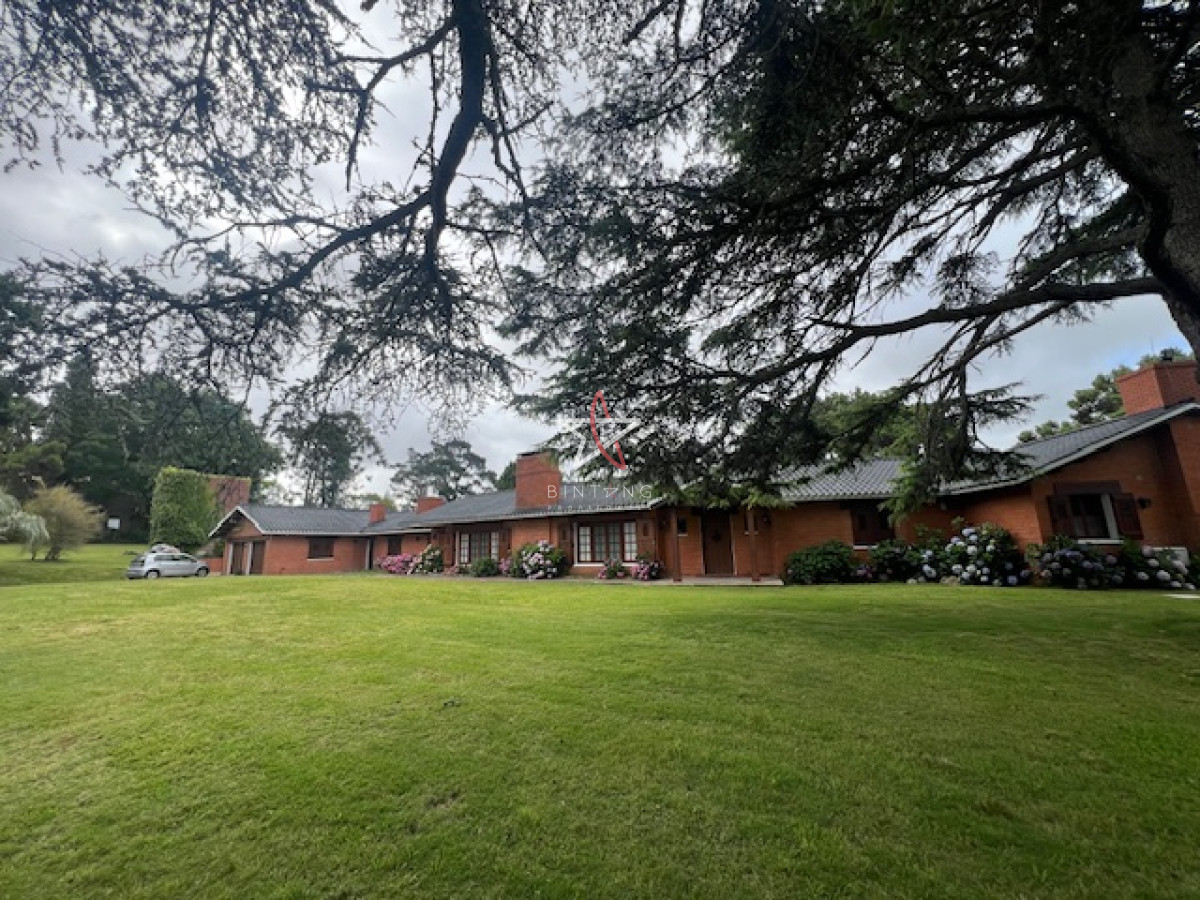 Punta del Este - GoPunta - Portal Inmobiliario de Punta del Este - Maldonado