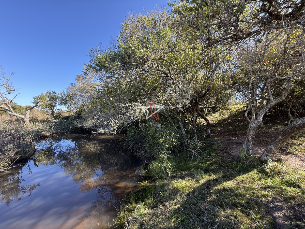 Campo, Garzón, José Ignacio, Venta, 31HA - BTG2555P