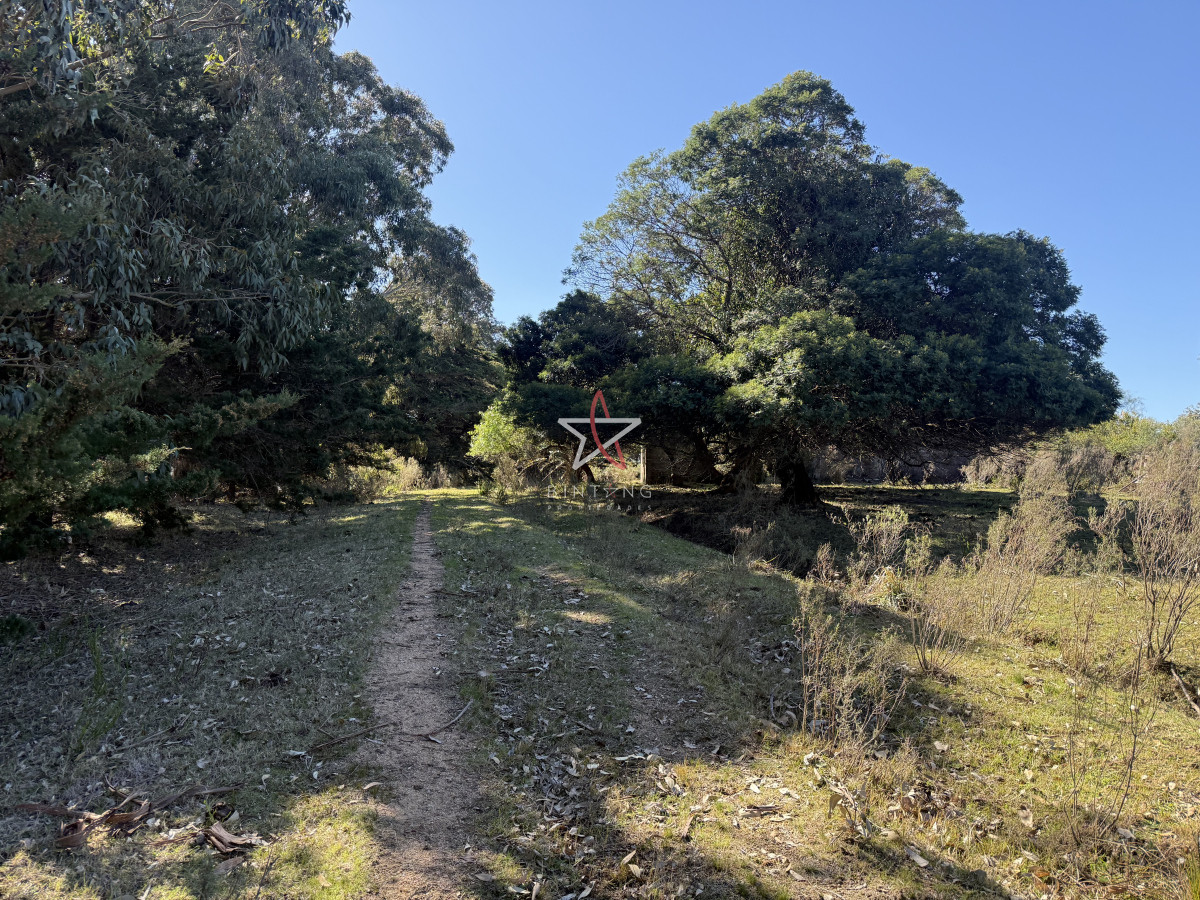 Campo, Garzón, José Ignacio, Venta, 31HA - GoPunta - Portal Inmobiliario de Punta del Este - Maldonado