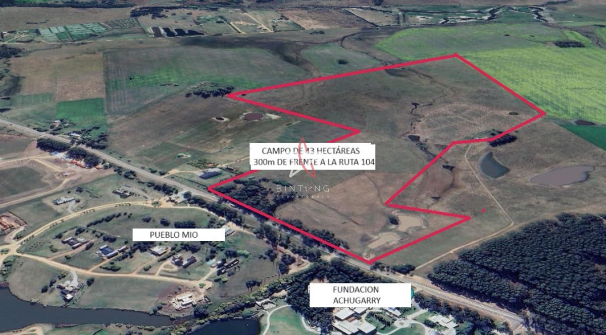 CAMPO, RUTA 104, MANANTIALES FRACCIONAMIENTO - GoPunta - Portal Inmobiliario de Punta del Este - Maldonado