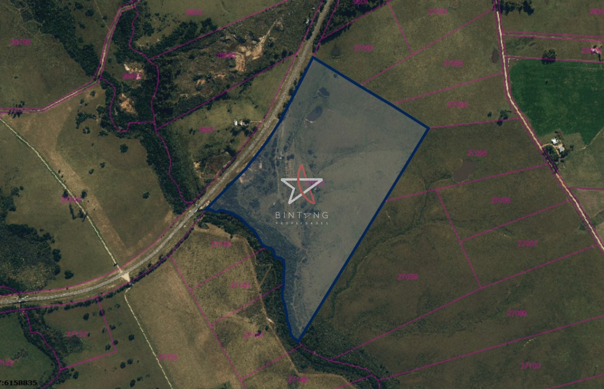 Campo, Garzón, José Ignacio, Venta, 31HA - GoPunta - Portal Inmobiliario de Punta del Este - Maldonado