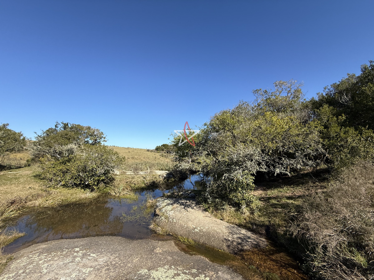 Campo, Garzón, José Ignacio, Venta, 31HA - GoPunta - Portal Inmobiliario de Punta del Este - Maldonado