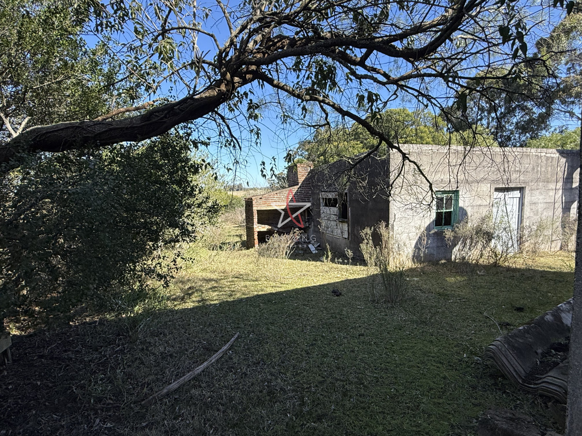 Campo, Garzón, José Ignacio, Venta, 31HA - GoPunta - Portal Inmobiliario de Punta del Este - Maldonado