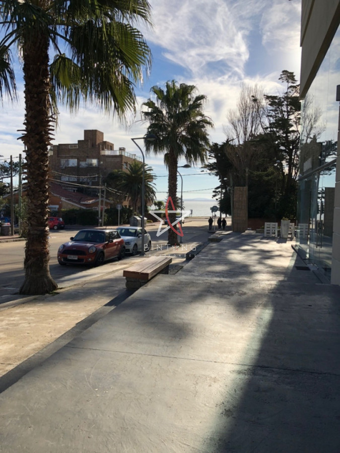 LOCAL, VENTA, CON RENTA, 8 LOCALESM PUNTA DEL ESTE, PENINSULA - BTG2631L