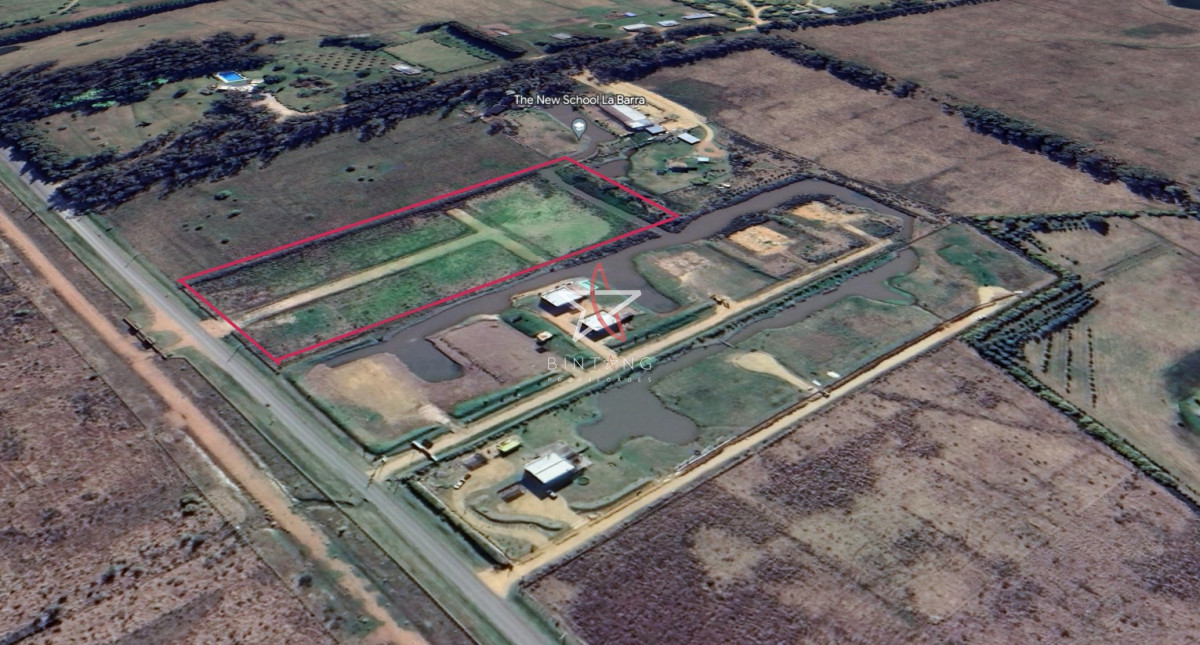 Camino Eguzquiza - GoPunta - Portal Inmobiliario de Punta del Este - Maldonado
