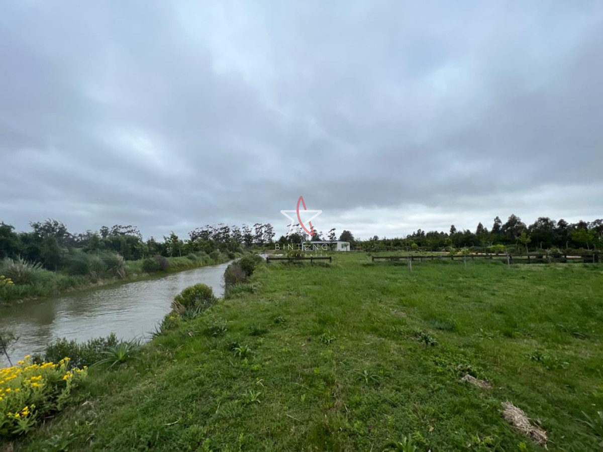 Camino Eguzquiza - GoPunta - Portal Inmobiliario de Punta del Este - Maldonado