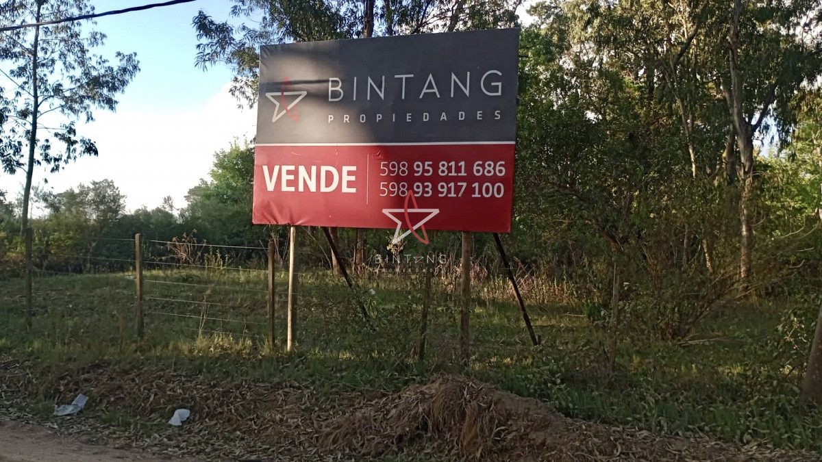 Terreno, 14.000 mts, Punta del Este, Piedra del Chileno, Venta