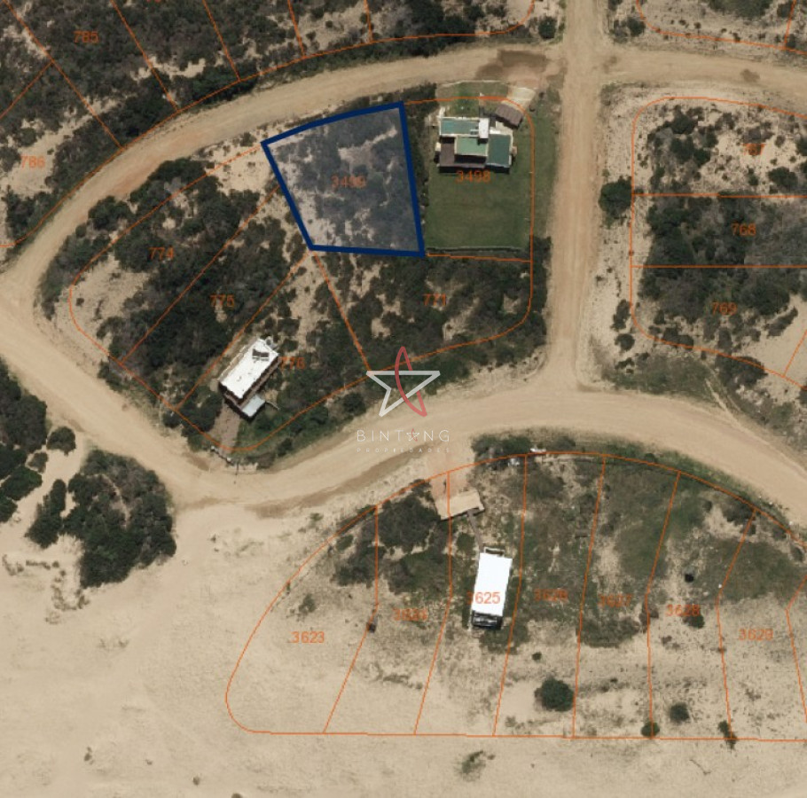 Chihuahua - GoPunta - Portal Inmobiliario de Punta del Este - Maldonado