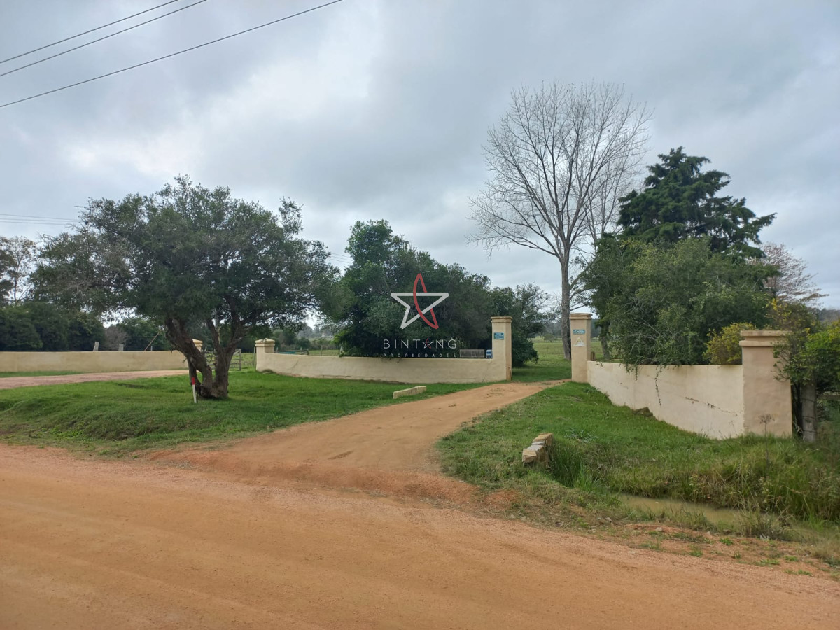 La Pataia - GoPunta - Portal Inmobiliario de Punta del Este - Maldonado