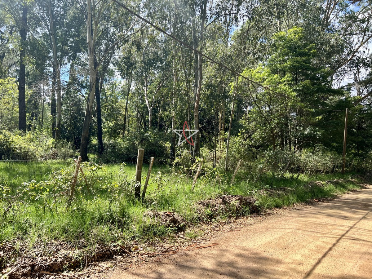 Piedras del Chileno - GoPunta - Portal Inmobiliario de Punta del Este - Maldonado