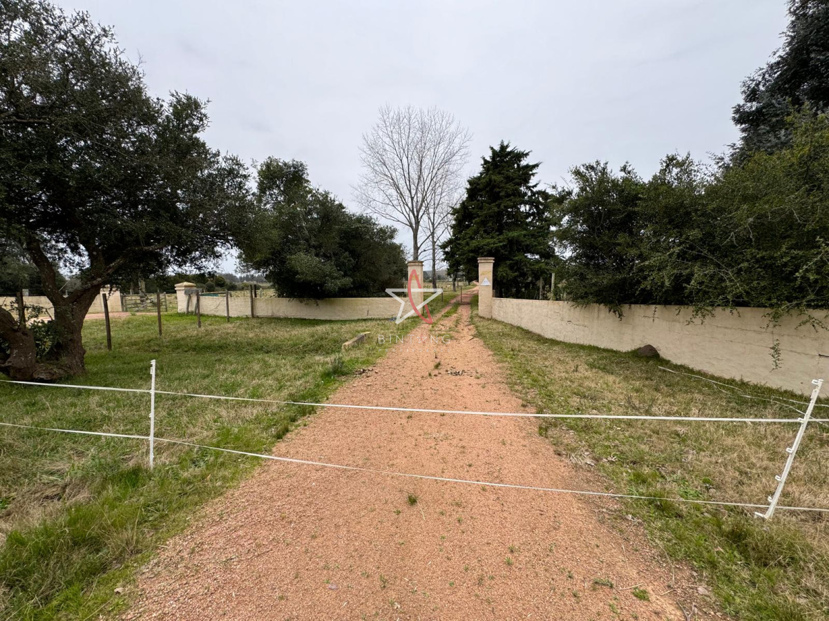 La Pataia - GoPunta - Portal Inmobiliario de Punta del Este - Maldonado