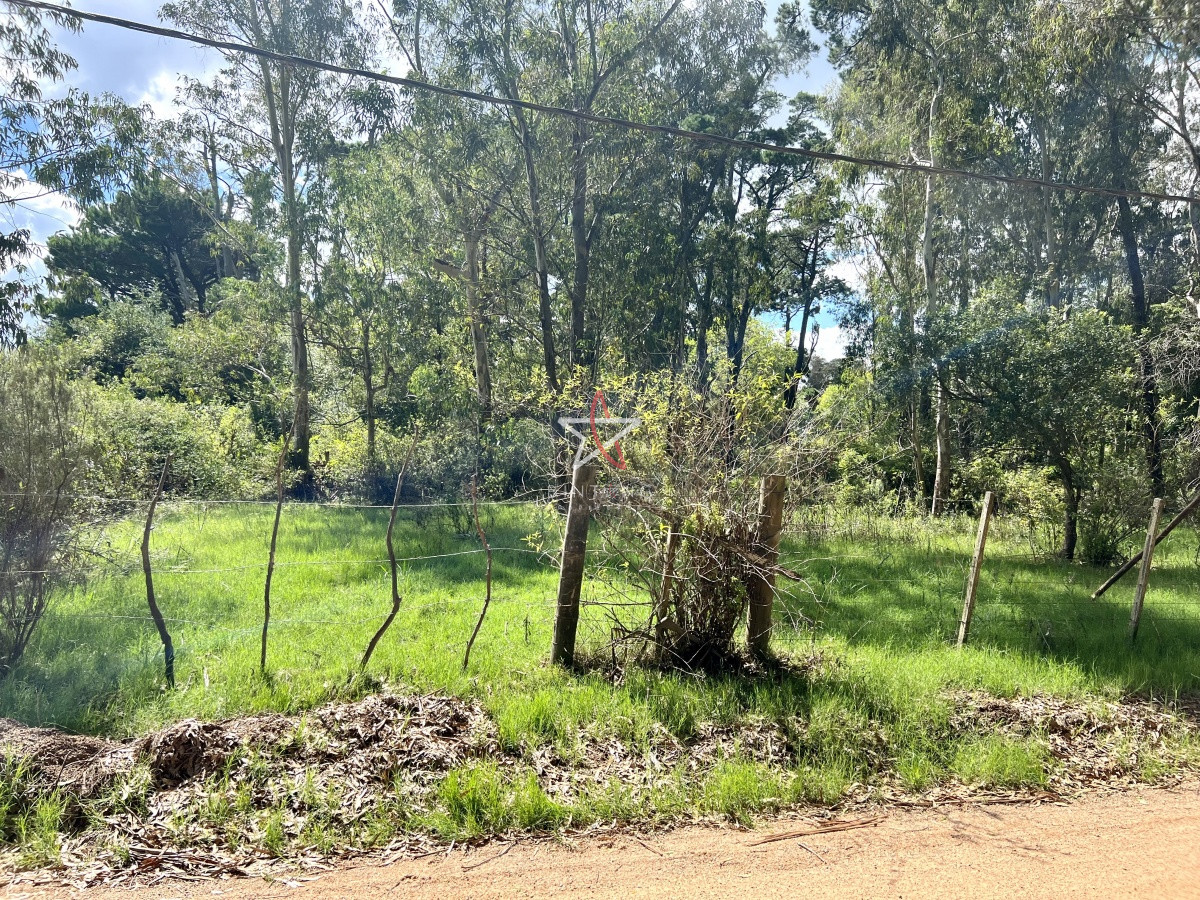 Piedras del Chileno - GoPunta - Portal Inmobiliario de Punta del Este - Maldonado