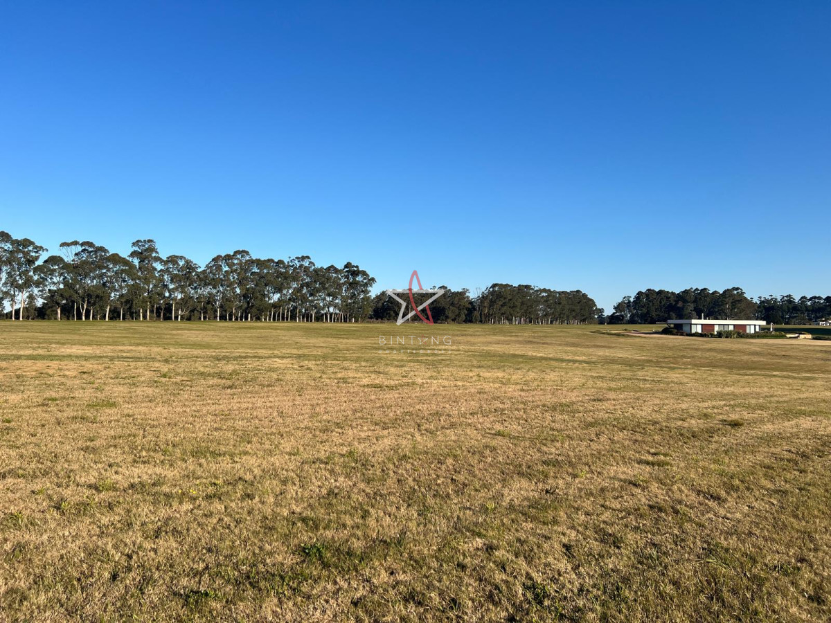 Laguna de los Cisnes - GoPunta - Portal Inmobiliario de Punta del Este - Maldonado