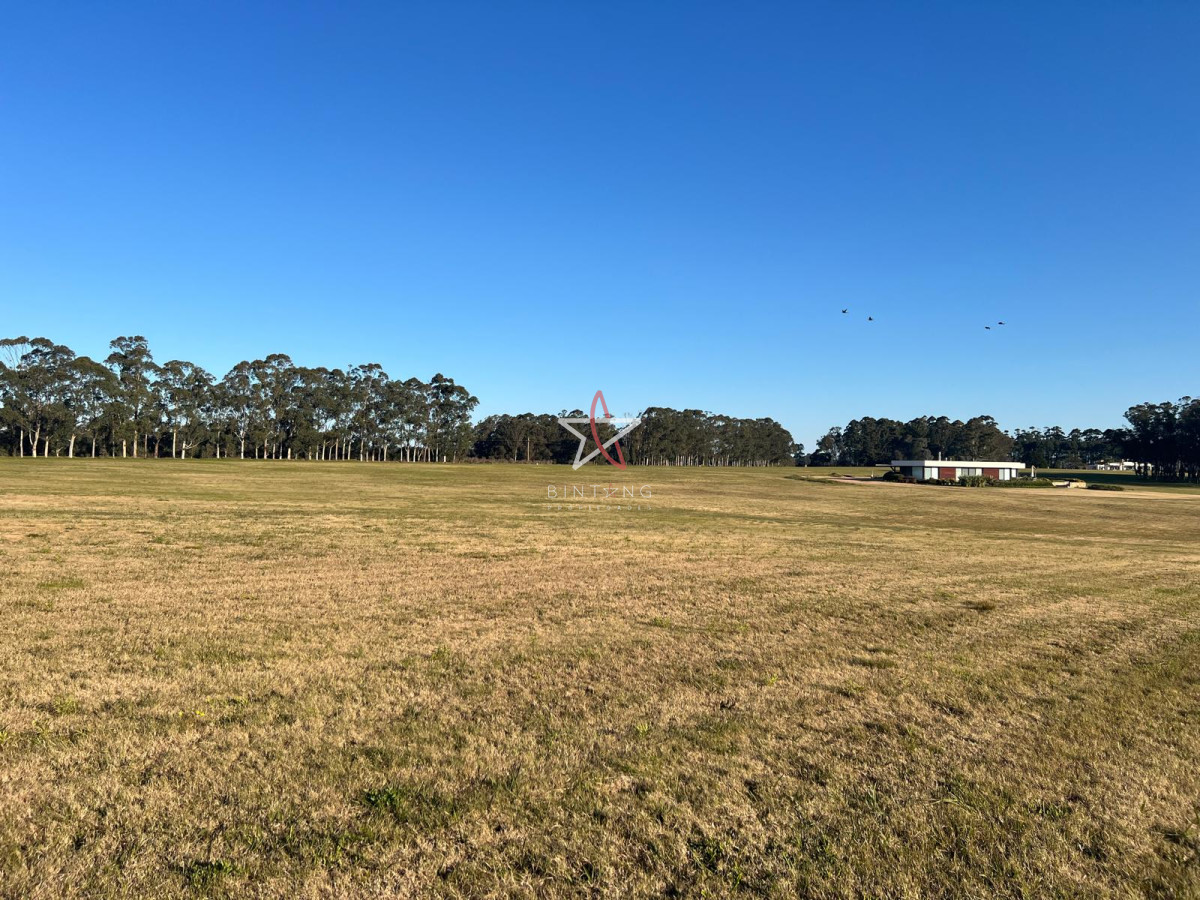 Laguna de los Cisnes - GoPunta - Portal Inmobiliario de Punta del Este - Maldonado