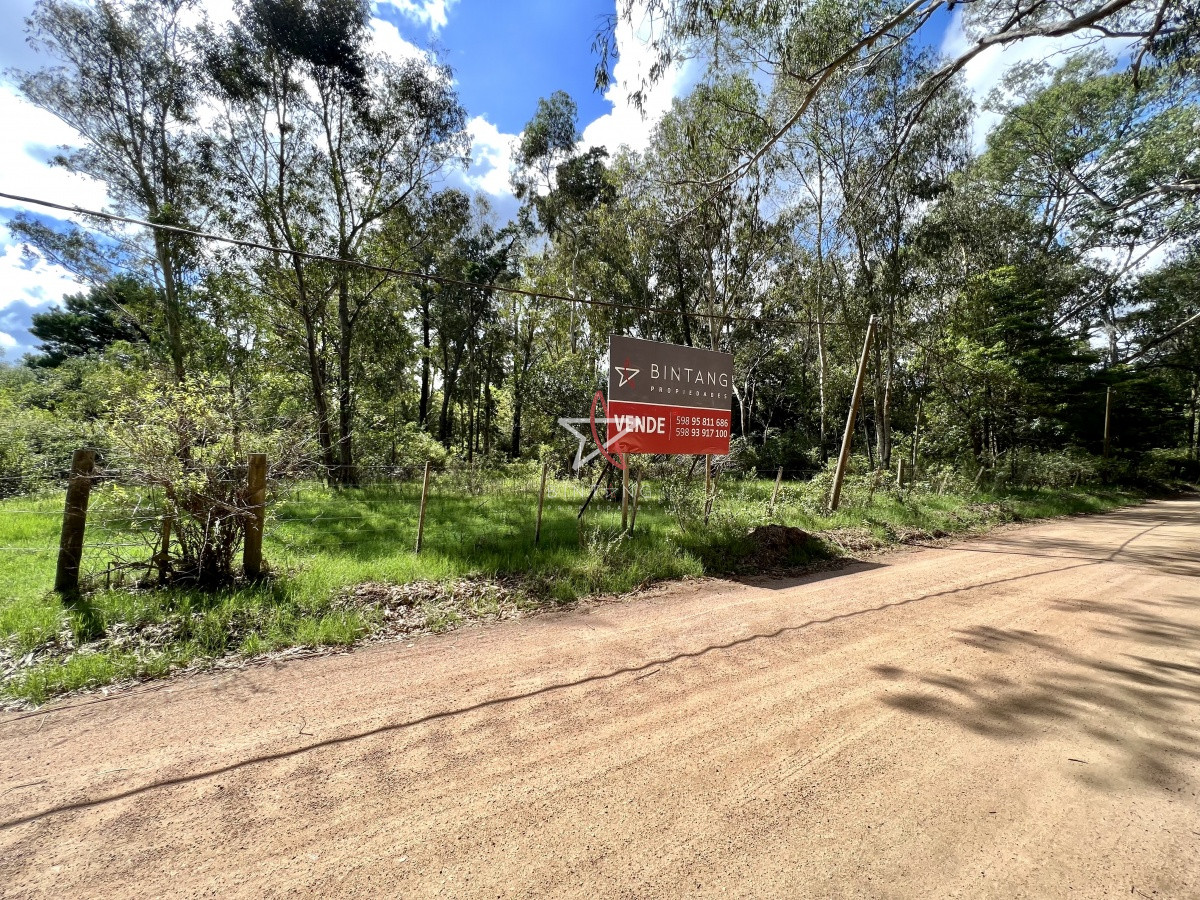 Piedras del Chileno - GoPunta - Portal Inmobiliario de Punta del Este - Maldonado