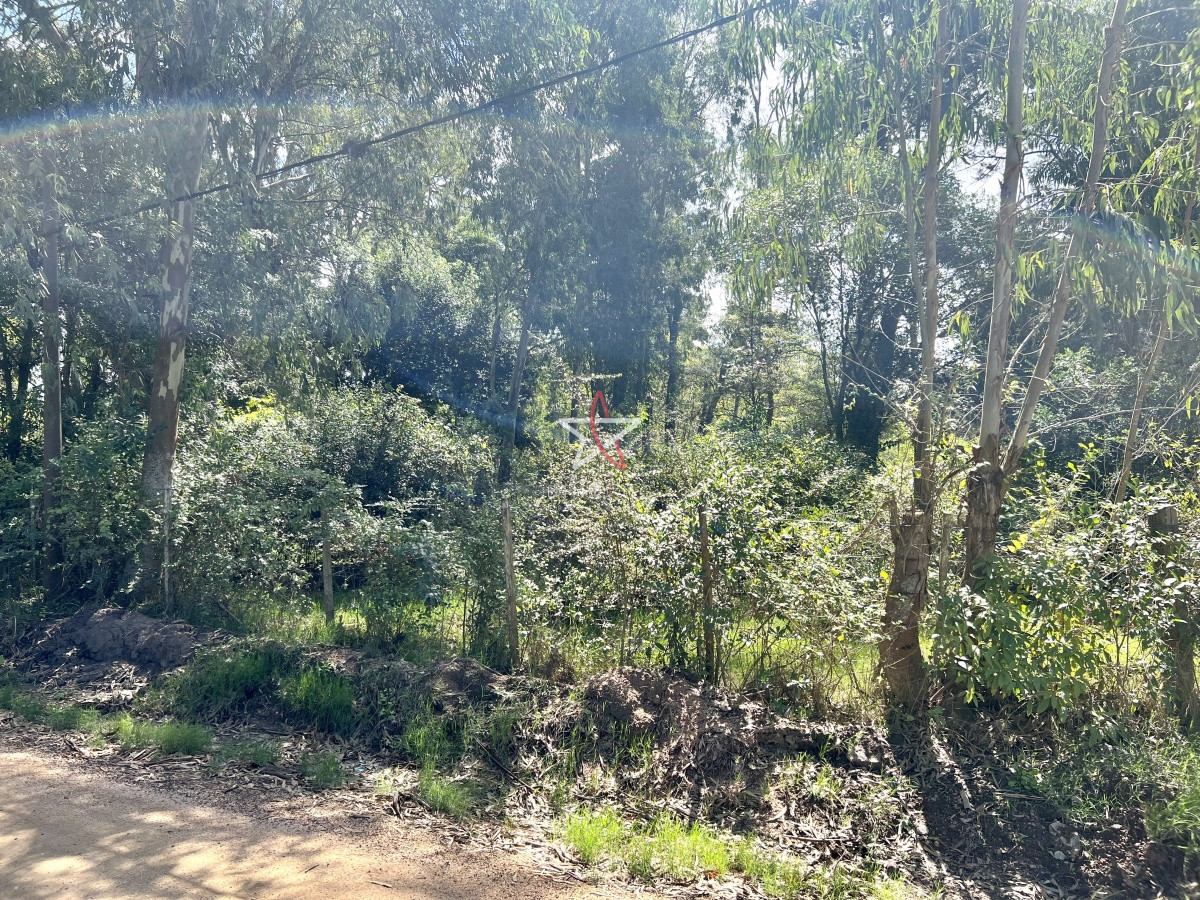 Piedras del Chileno - GoPunta - Portal Inmobiliario de Punta del Este - Maldonado