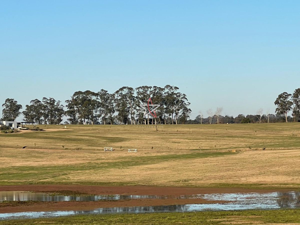 Laguna de los Cisnes - GoPunta - Portal Inmobiliario de Punta del Este - Maldonado