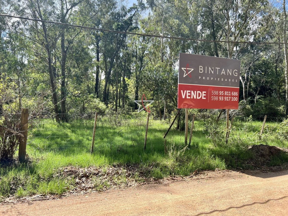 Piedras del Chileno - GoPunta - Portal Inmobiliario de Punta del Este - Maldonado