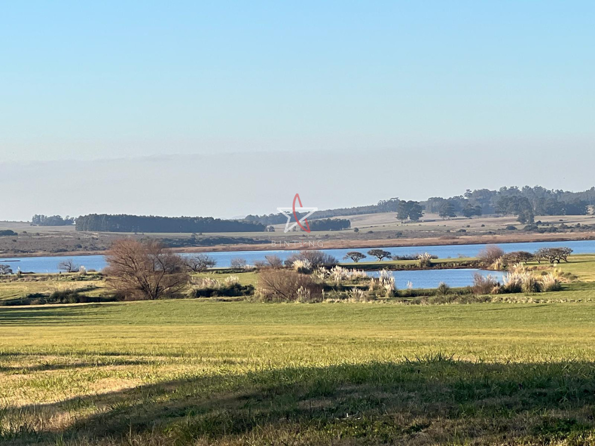 Laguna de los Cisnes - GoPunta - Portal Inmobiliario de Punta del Este - Maldonado