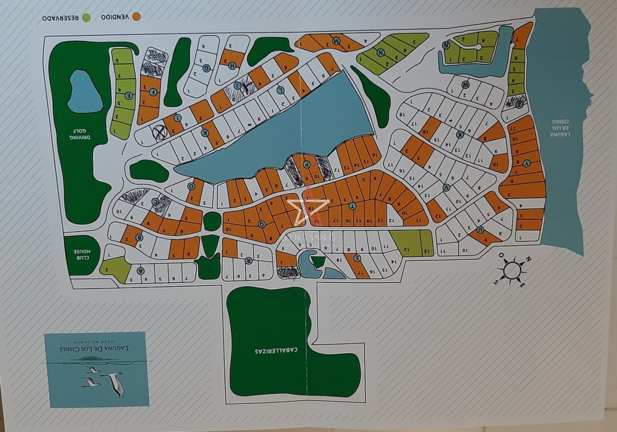Laguna de los Cisnes - GoPunta - Portal Inmobiliario de Punta del Este - Maldonado