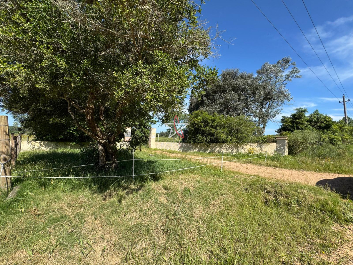 La Pataia - GoPunta - Portal Inmobiliario de Punta del Este - Maldonado