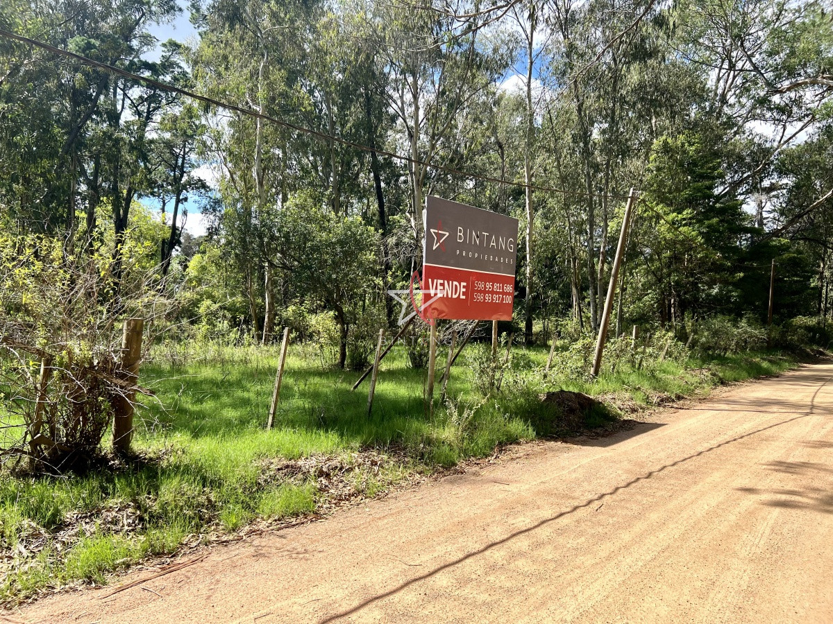 Piedras del Chileno - GoPunta - Portal Inmobiliario de Punta del Este - Maldonado