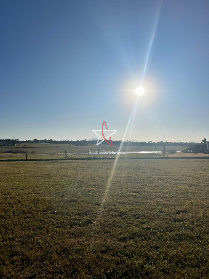 Laguna de los Cisnes - GoPunta - Portal Inmobiliario de Punta del Este - Maldonado