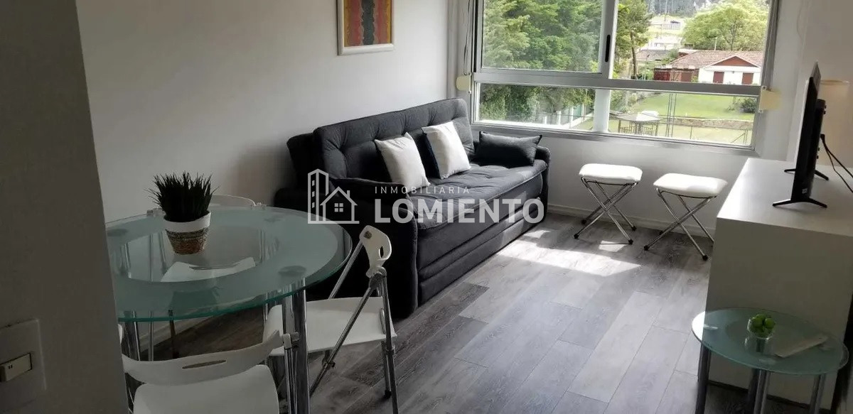 Apartamento ID.875 - Alquiler temporada apartamento 1 dormitorio 12 lunas