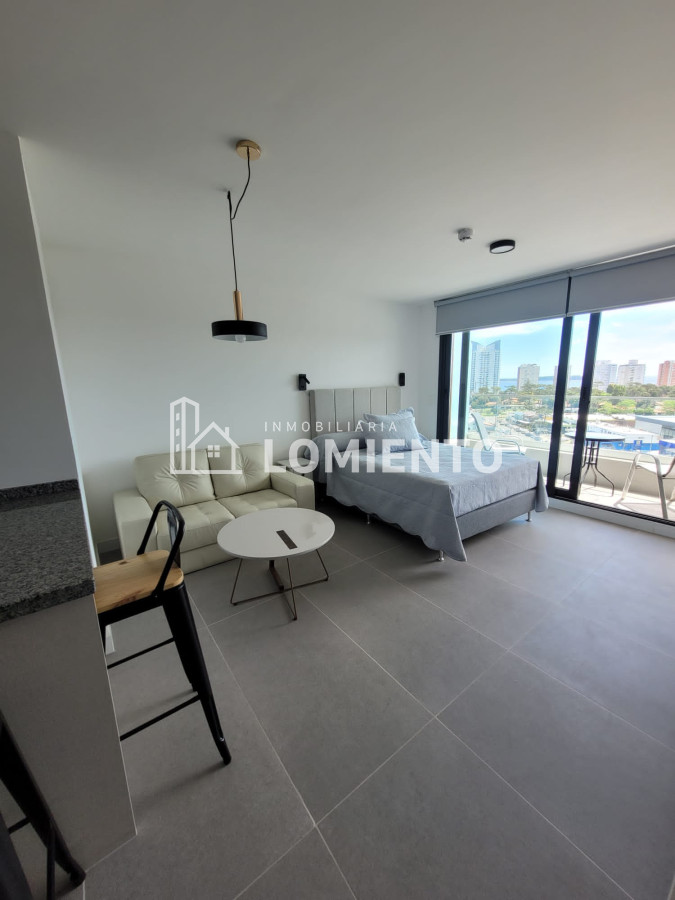 Apartamento ID.1465 - Venta- Alquiler temporada apartamento monoambiente Edificio View