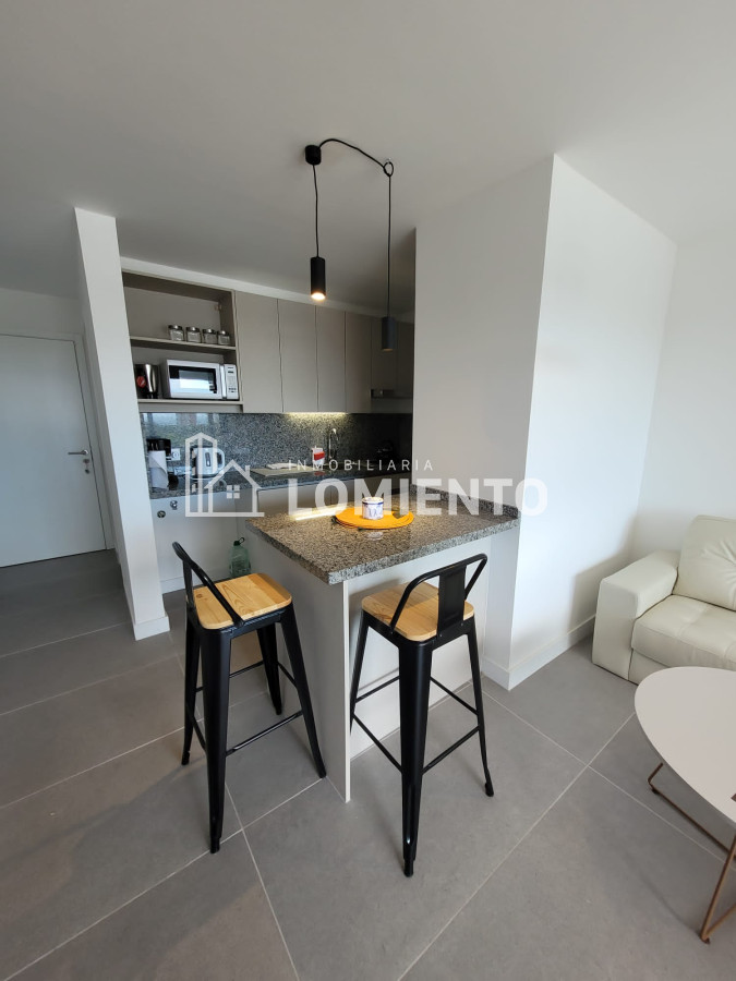 Apartamento ID.1465 - Venta- Alquiler temporada apartamento monoambiente Edificio View