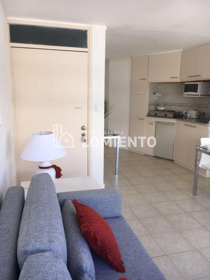 Apartamento ID.1481 - Alquiler temporada apartamento 1 dormitorio Peninsula 