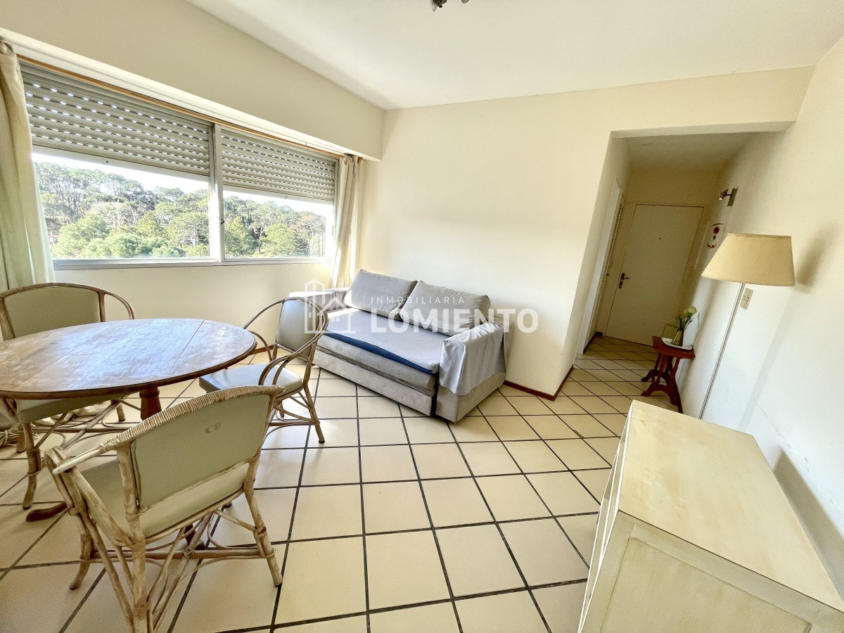 Apartamento ID.96 - Alquiler anual apartamento 1 dormitorio zona roosevelt