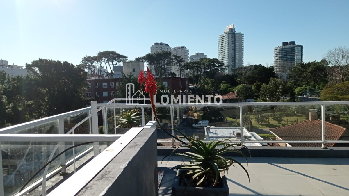 Apartamento ID.1119 - Alquiler temporada apartamento 1 dormitorio con parrillero propio Aidy Grill