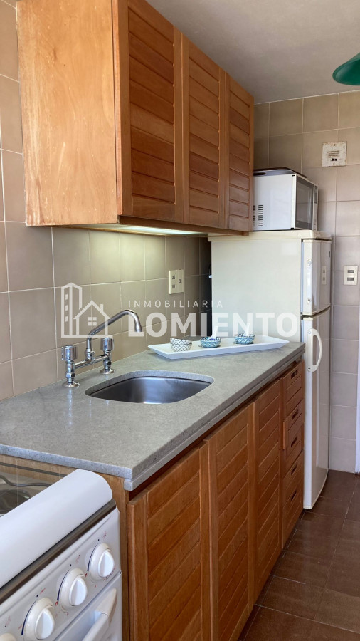 Apartamento ID.1451 - Alquiler temporada apartamento 1 dormitorio Torre Marina 