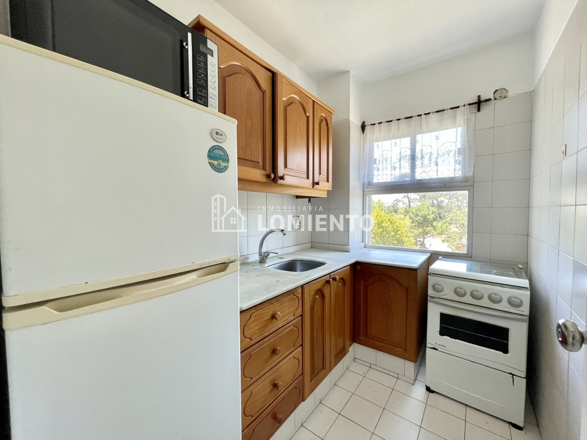 Apartamento ID.116 - Alquiler temporada apartamento 1 dormitorio en Roosevelt